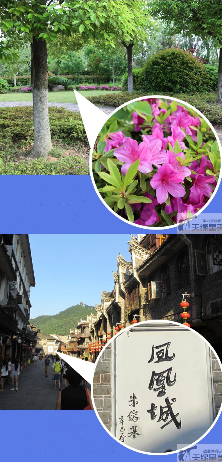 Celestron Outland X 8x42 10X42 Green Binoculars Waterproof & Fogproof Binoculars for Adults Multi-Coated Optics and BaK-4 Prisms