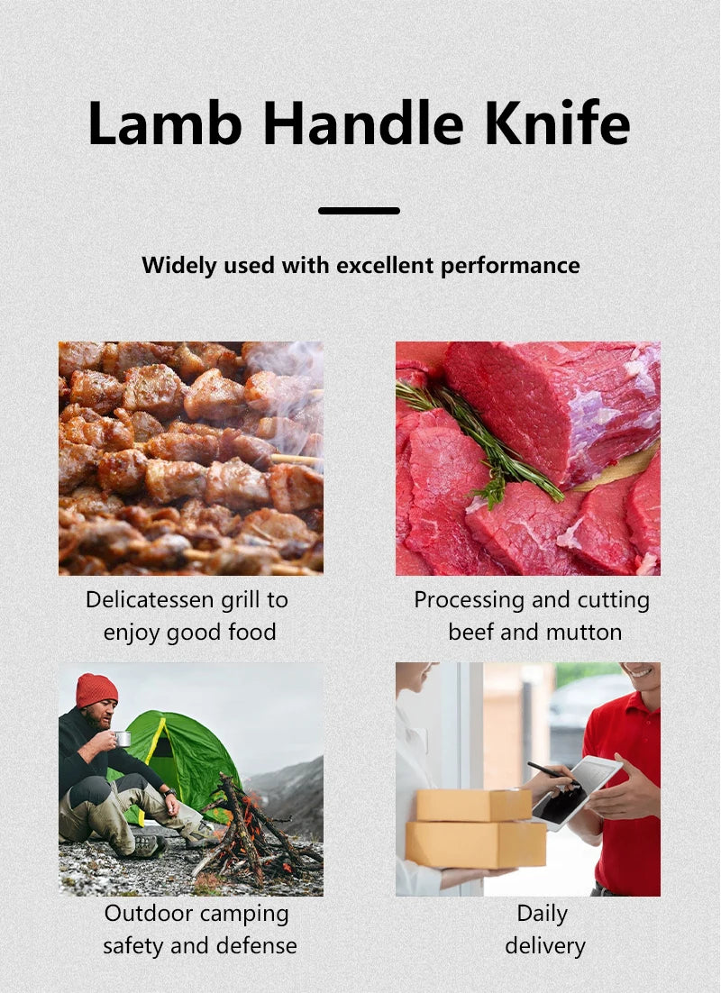 Portable Outdoor Folding Knife for Camping, Mini Household Stainless Steel Fruit Knife, Letter Opener Folding Knife