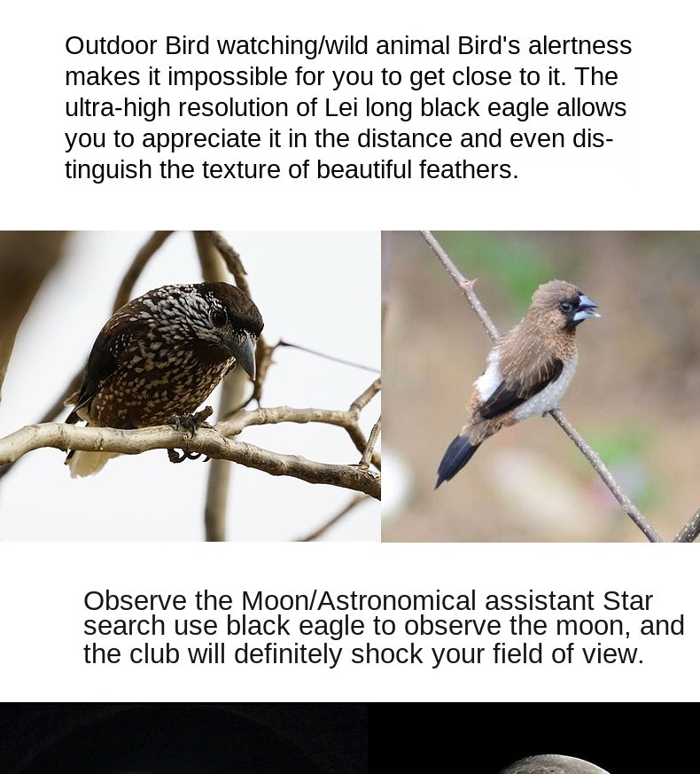 Celestron Outland X 8x42 10X42 Green Binoculars Waterproof & Fogproof Binoculars for Adults Multi-Coated Optics and BaK-4 Prisms